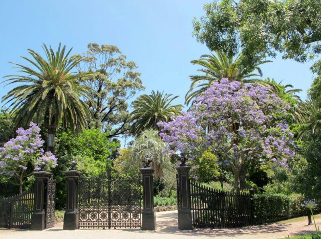 Williamstown Botanic Gardens, Australia